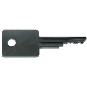 Ditch Witch Key Set #46 | Part #217-769
