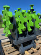 ECW Excavator Compaction Wheel - product view 8